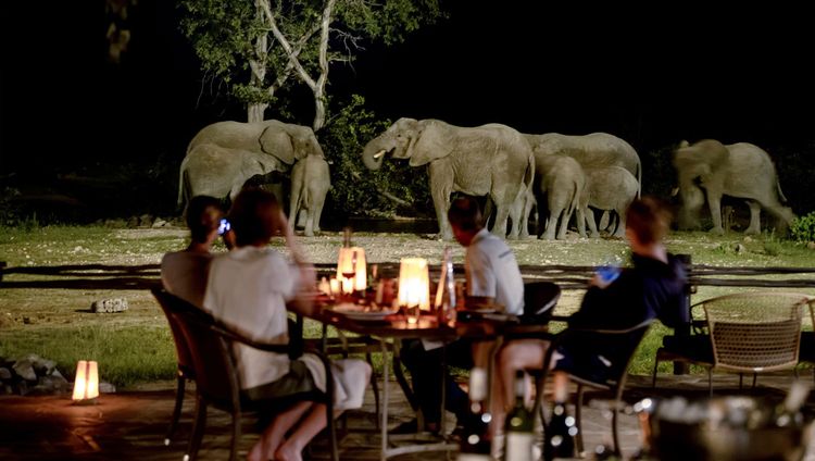 Ongava Tented Camp - Dinner mit Elefanten