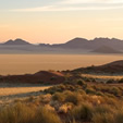Reisen, Namibia, Safari, Afrika
