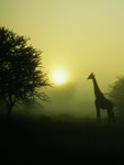 Namibia, Nationalpark