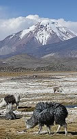 Südamerika Argentinien