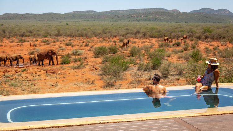 Madikwe Hills Private Game Lodge - Pool