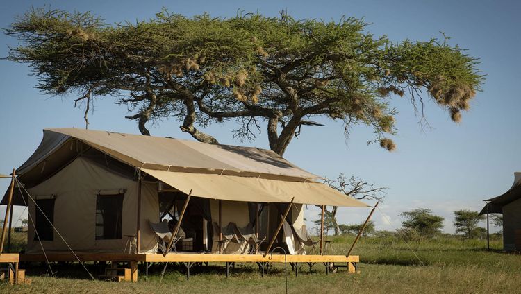 Siringit Collection - Serengeti Camp Aussenan