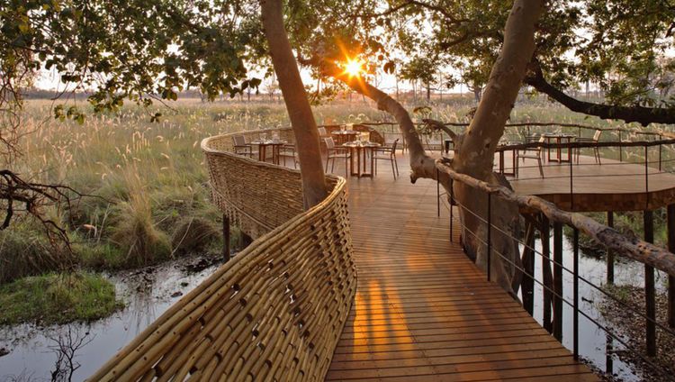 andBeyond Sandibe Okavango Safari Lodge - Son