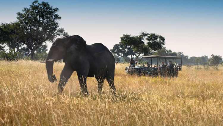 andBeyond Xaranna Okavango Delta Camp - Pirsc