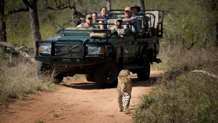 andbeyond Tengile River Lodge - Pirschfahrt