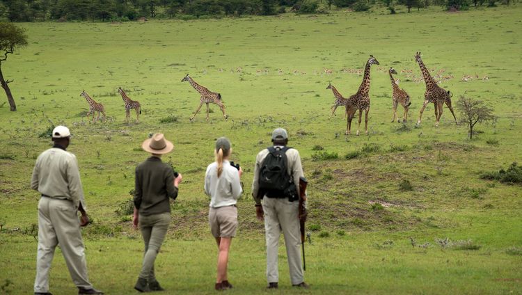 andbeyond Kleins Camp - Walking Safari