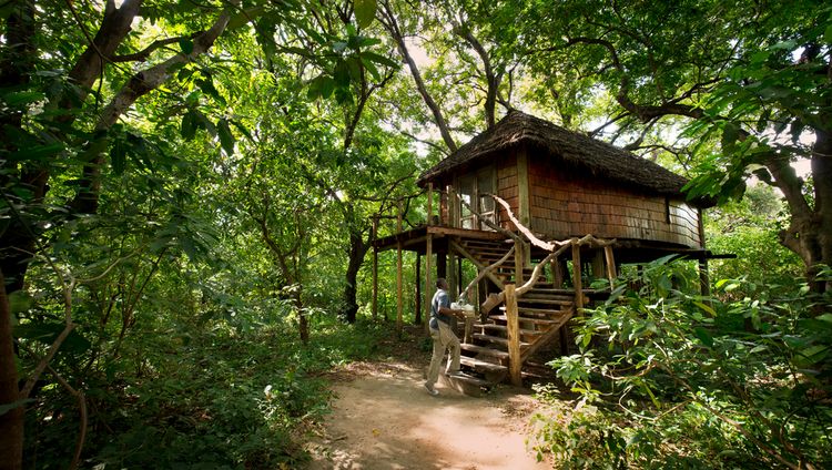 &Beyond Lake Manyara Tree Lodge