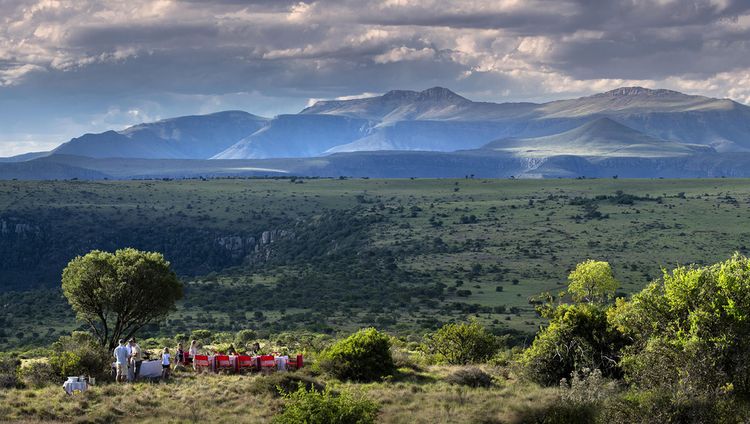 Samara Karoo Reserve - Busch Frühstück