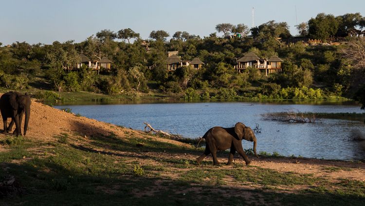 Simbavati Hilltop Lodge, Klaserie Private Nature Reserve