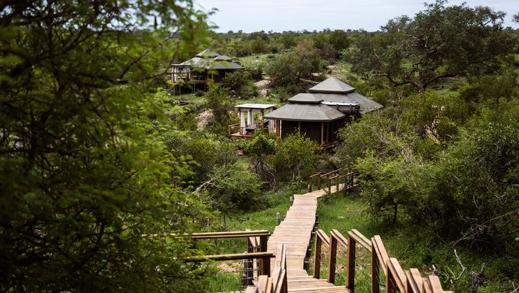 Simbavati Hilltop Lodge - Weg zu den Zeltsuit