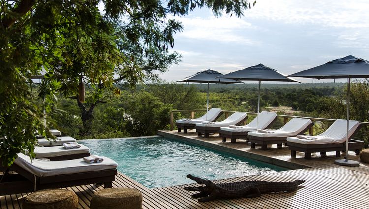 Simbavati Hilltop Lodge - Pool