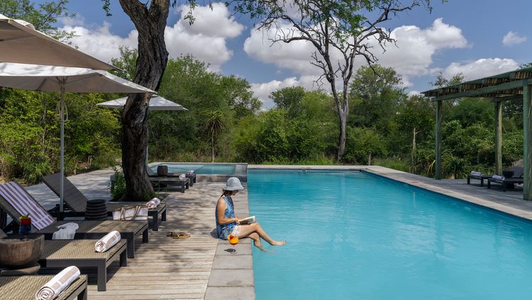 Simbavati Waterside - Pool