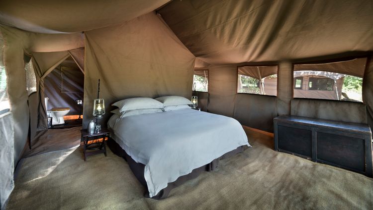 andBeyond Savute Under Canvas -guest-tent