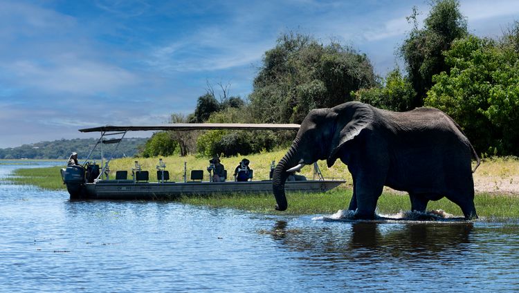 andBeyond Chobe Under Canvas - Bootsausflug