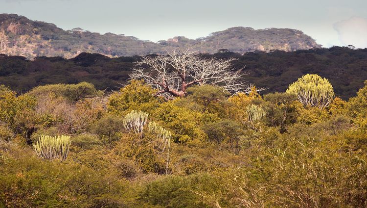 LABA Jongomero Camp - Landschaft