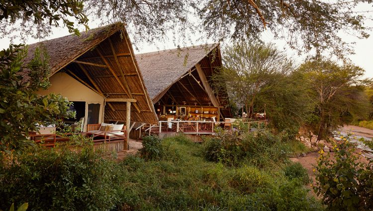 LABA Jongomero Private Bush Manor , Ruaha Nationalpark