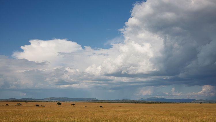 LABA Migration Camp - Die Serengeti