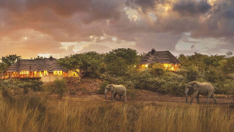 Tuningi Safari Lodge, Madikwe Game Reserve