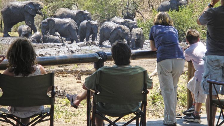 Tuningi Safari Lodge - Elefanten vor der Lodg